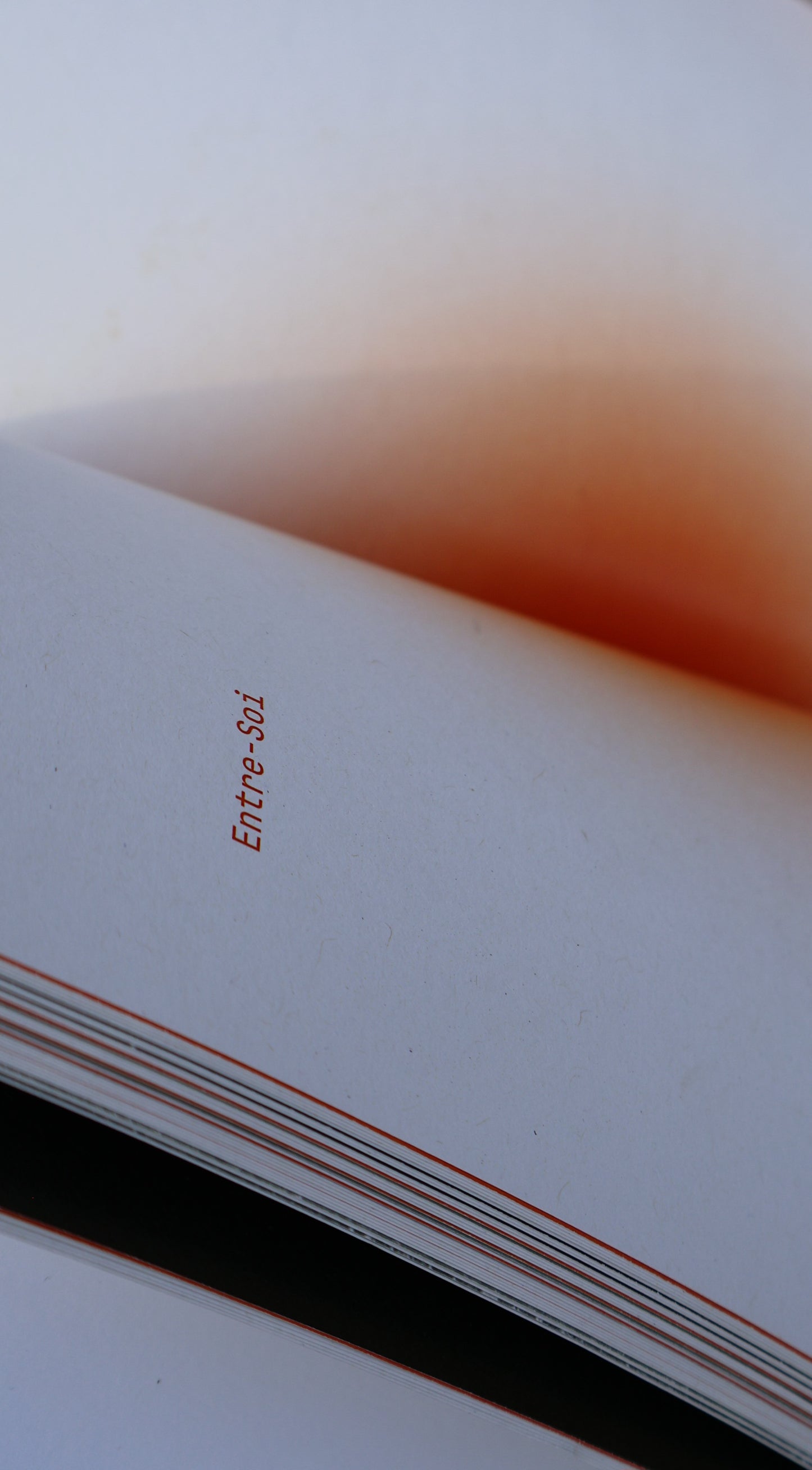 Détail de la qualité du papier du livre "Ouvre" de Carole Paillé