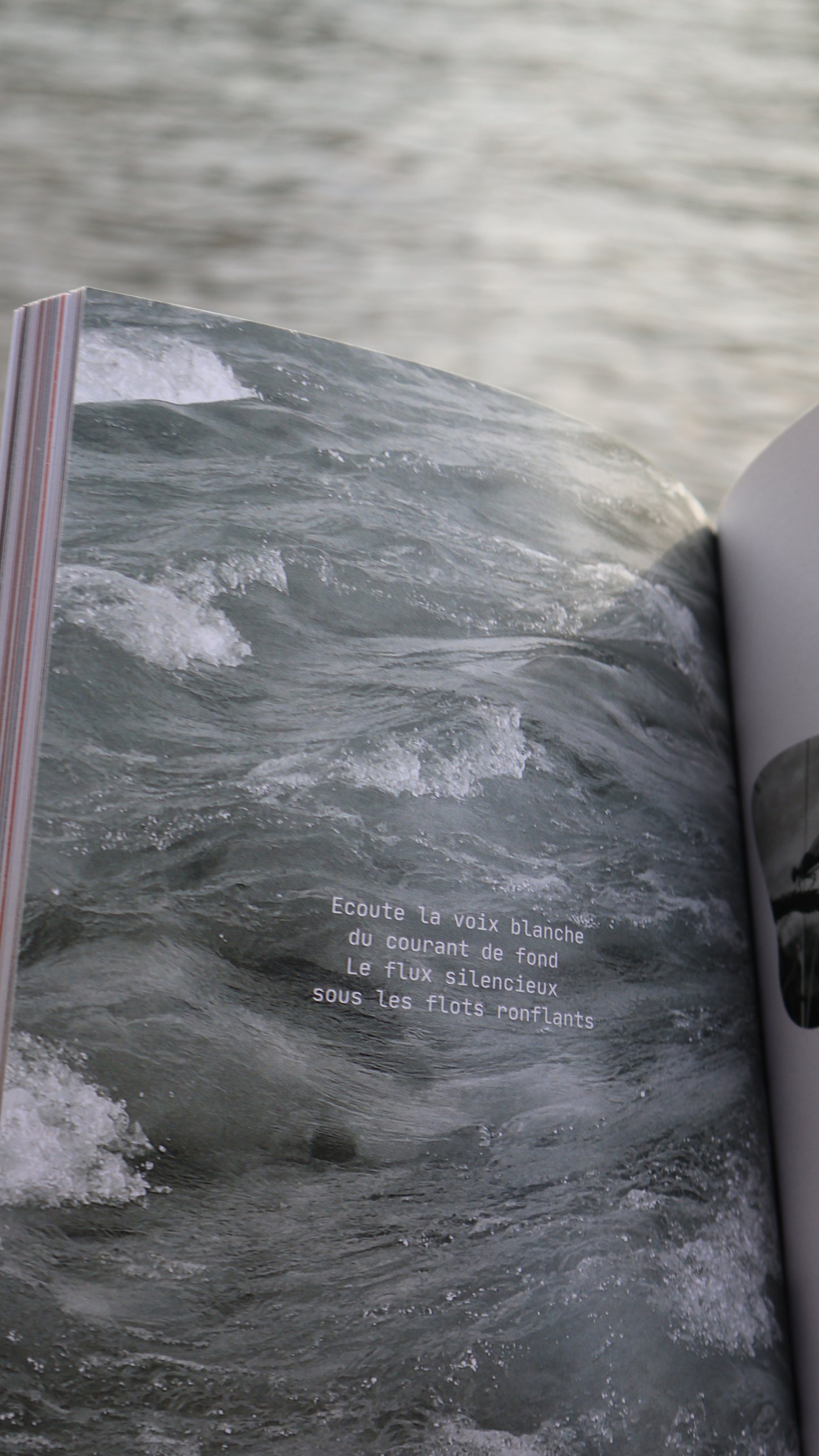 Page intérieure du livre "Ouvre" de Carole Paillé