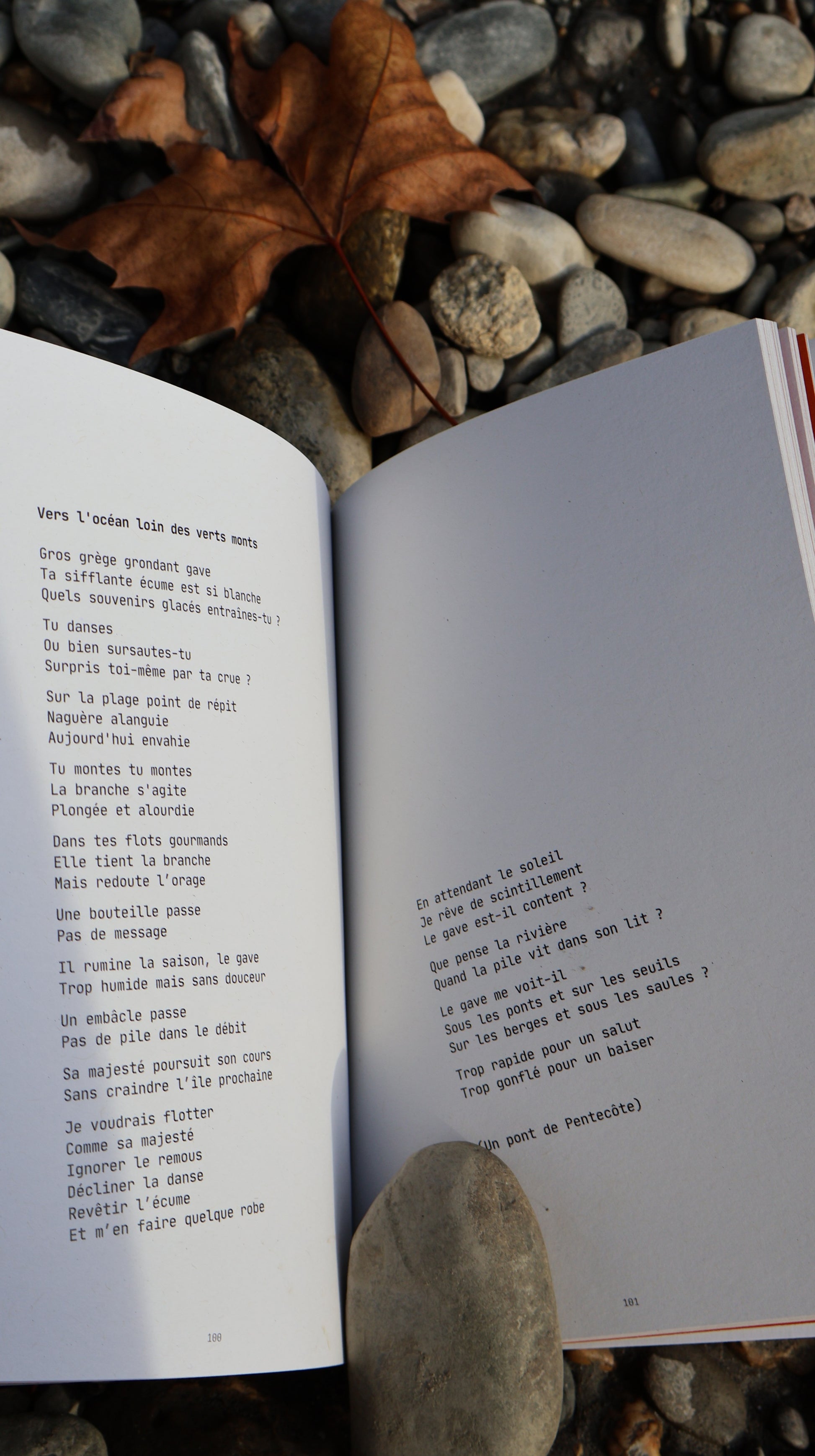 Page intérieure du livre "Ouvre" de Carole Paillé