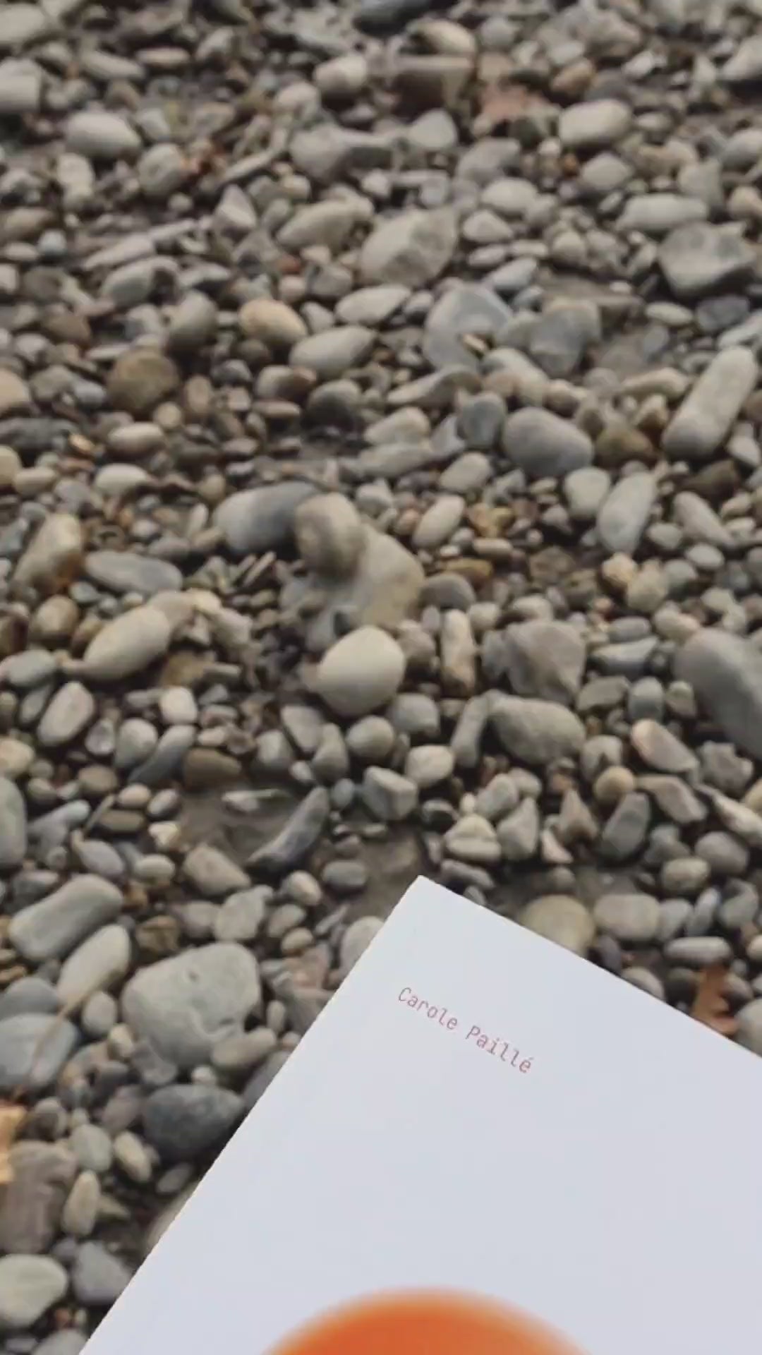 Aperçu du livre "Ouvre" de Carole Paillé